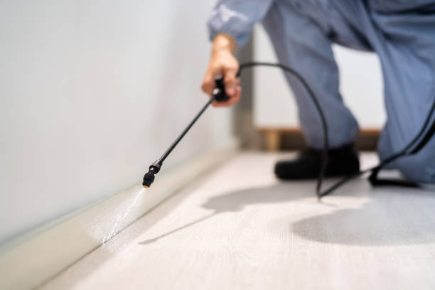 Licensed Fumigation Services service in Nanticoke, PA - Nex Pest Control