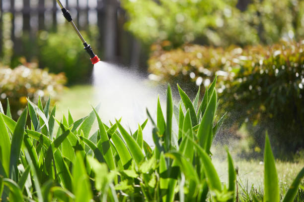 24/7 Emergency Fumigation Services experts in Nanticoke, PA